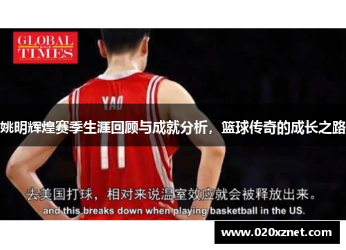 姚明辉煌赛季生涯回顾与成就分析，篮球传奇的成长之路