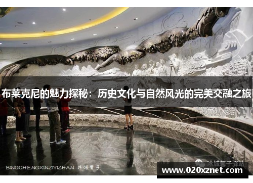布莱克尼的魅力探秘：历史文化与自然风光的完美交融之旅