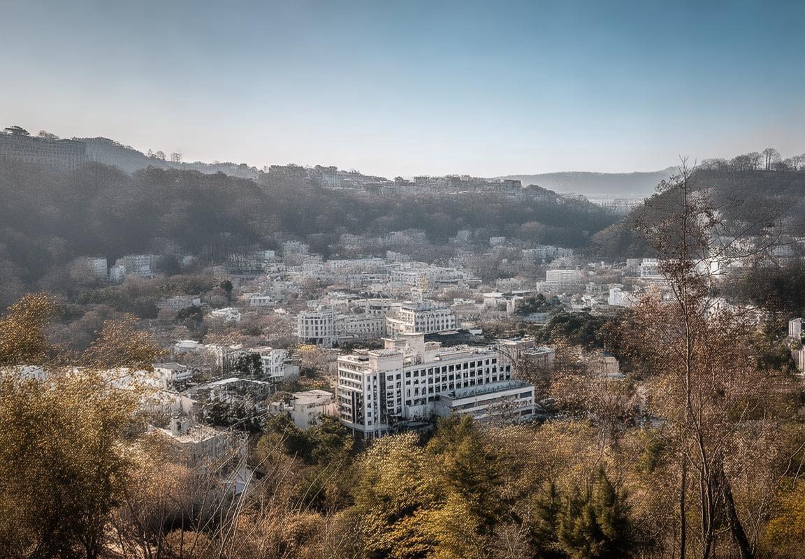 杨瀚森CBA崛起与开拓者队罗伯特·威廉姆斯交易价值：现代型中锋的东升西潜